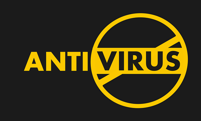 antivirus-1349649_640 (Demo) antivirus logo